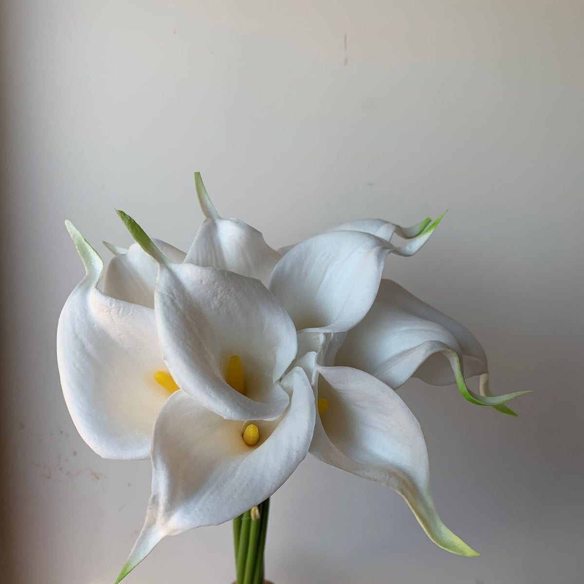 Fashion Wedding Quality Home Decor Flowers - White yellow heart / 12PCS